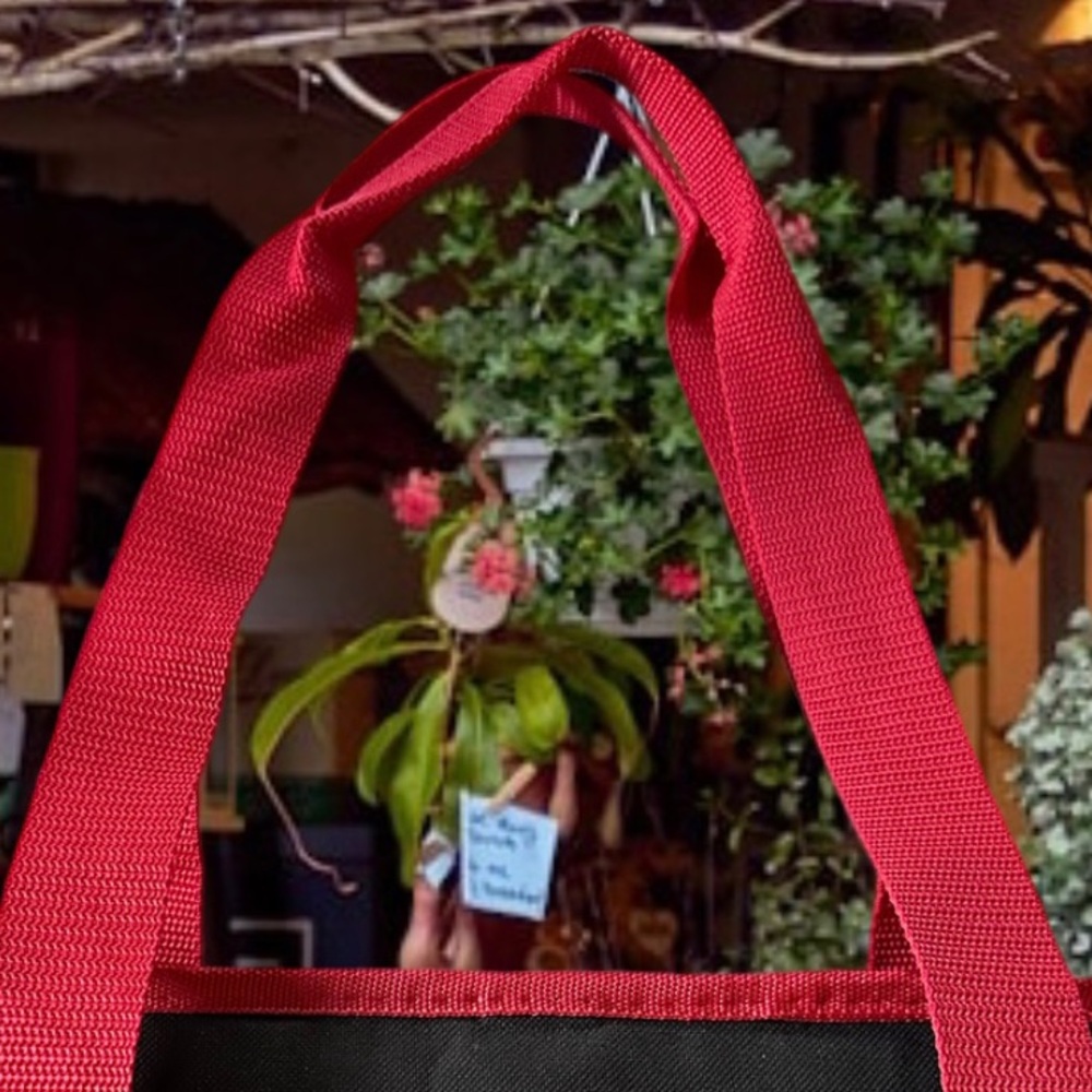 Trader Joe’s Reusable Insulated Bag (Extra Large Capacity- 7 Gallons) NWT - Picture 6 of 11